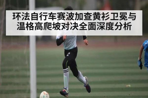 环法自行车赛波加查黄衫卫冕与温格高爬坡对决全面深度分析